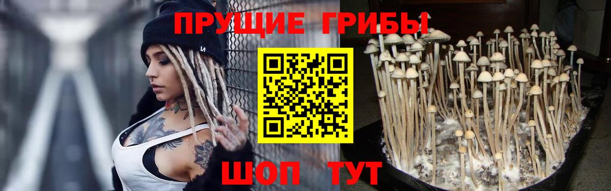 Галлюциногенные грибы ЛСД  Вход с VPN  Магадан 